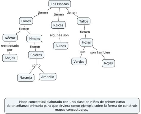 Ejemplos De Mapas Conceptuales Para NiÃ±os De Primaria Phore