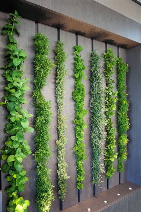 Build Indoor Plant Wall Martine Tinsley