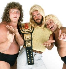 10 Fabulous freebirds ideas | the fabulous freebirds, pro wrestling, wwf