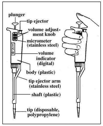 The Importance Of Using Pipette Diagrams In Scientific Research