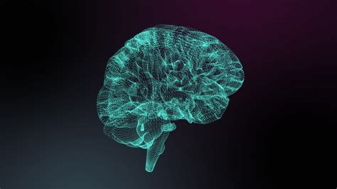 Premium Stock Video Animation Of Glowing Blue Human Brain Spinning On