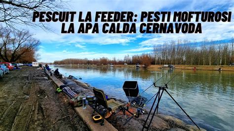 Pescuit La Feeder Pe Canalul Cu Apa Calda Cernavoda O Prima Partida De