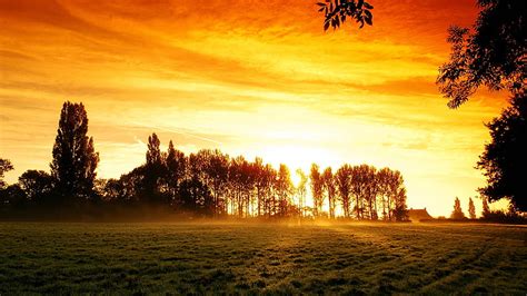 1366x768px 720p Free Download Good Morning Green Grass