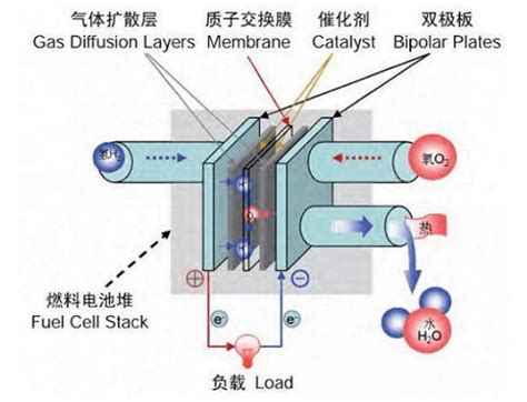 燃料电池分类、特点科普 氢燃料电池 国际氢能网