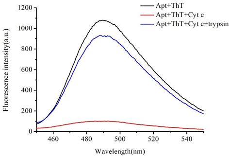 A Label Free Fluorescence Aptasensor Based On G Quadruplexthioflavin T Complex For The