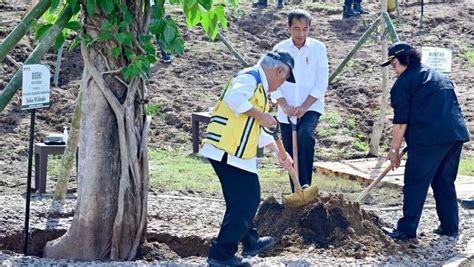 Tanam Pohon Bersama Masyarakat Presiden Ini Tindakan Nyata Hadapi