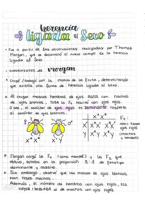 SOLUTION Herencia Ligada Al Sexo Y Genealogi As Studypool