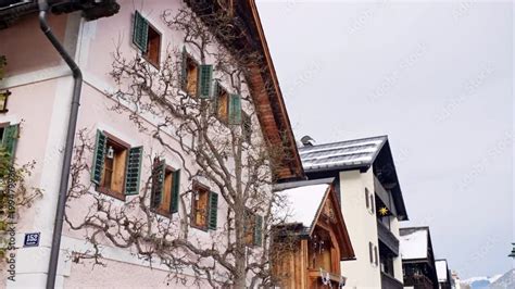 Big Naked Tree Climbing Up House Facade In Hallstatt Austria During