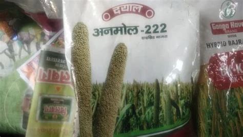 Natural Green Hybrid Bajra Seed Packaging Type Packet Packaging Size