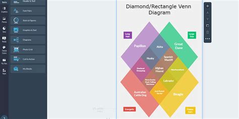 10 Types of Venn Diagrams That Help You Visualize Relationships 