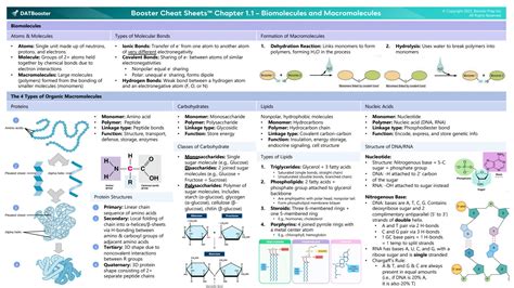 Solution Booster Cheat Sheets Biology Ch 1 1 Biomolecules