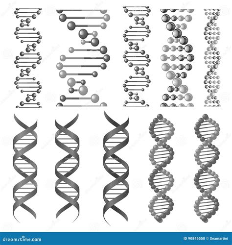 Vektorsymboler Av Dna spiralen Eller Den Molekylära Kedjan Vektor