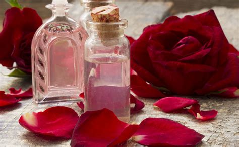 Perfumes Con Feromonas Cómo Funcionan Y Cuáles Puedes Utilizar En Tu