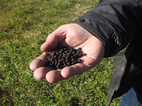 Compost Pellets Down the Tube – MRA Consulting Group