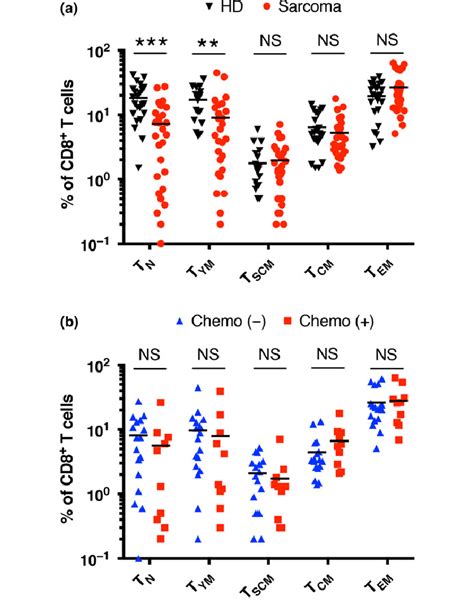 Proportions Of CD8 T Cell Subsets Consisting Of T N T YM T SCM