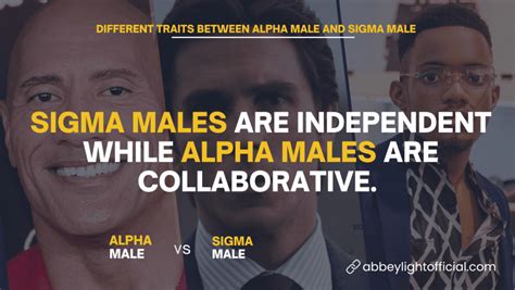 Sigma Male Vs Alpha Male 10 Differences And Traits