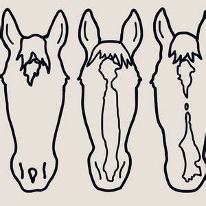 Custom Horse Outline Drawing, Horse Face Outline Drawing, Horse ...