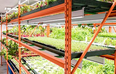 4 Techniques for Excellent Hydroponics Farm Management