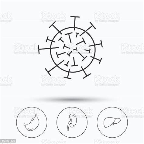 바이러스 위 신장 아이콘 건강관리와 의술에 대한 스톡 벡터 아트 및 기타 이미지 건강관리와 의술 곧은 궤양 Istock