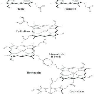 Chemical structure of heme, hematin, and hemozoin. | Download ...