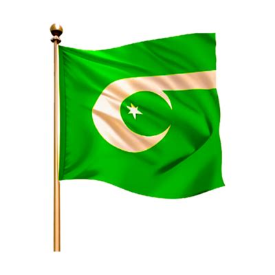 Pakistan Flag Png PNGs for Free Download