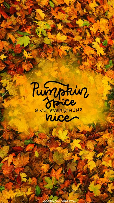 55+ Best Fall Phone Backgrounds (FREE Autumn Wallpaper) - Good Mom Living