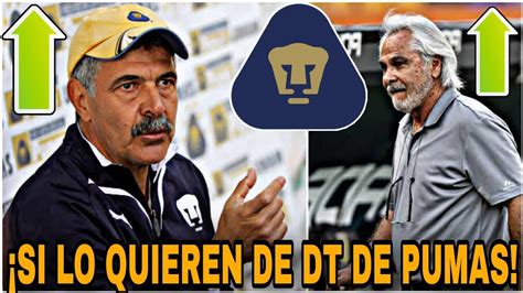 Bomba🔥¿tuca Ferreti Opcion Para Dt De Pumas LlegarÍa A Reforzar A Pumas Refuerzos Pumas