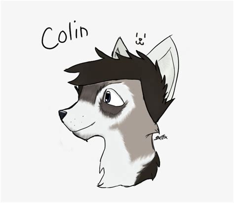 colinn cartoon  transparent png  pngkey