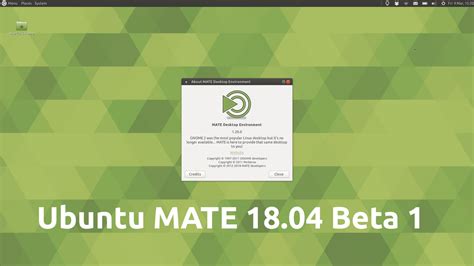 Ubuntu Mate Lts Bionic Beaver F R Raspberry Pi Erst Im Juli