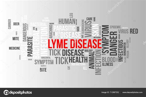 Lyme Disease Word Cloud Template Health Medical Awareness Concept