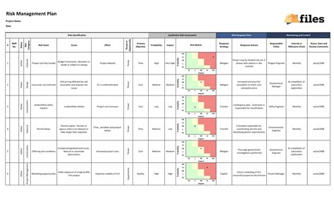 Key Person Risk Management Plan Template