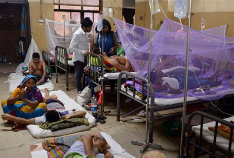 Worst-ever dengue outbreak in Bangladesh; nearly 10,000 cases in July ...