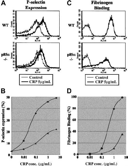 Surface Expression Of P Selectin On Platelets And Fi Brinogen Binding