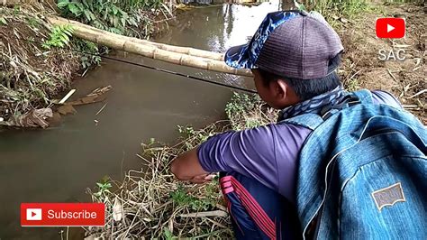 Serunya Mancing Ikan Waderbenter Di Selokan Sawah Youtube