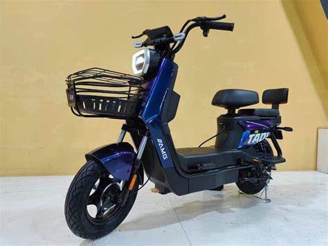 High Quality Electric Bike 450w 48v 20ah Lead Acid Battery Electric