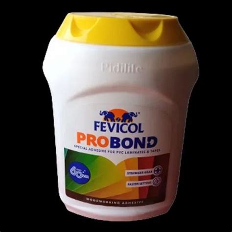 Pidilite Fevicol Probond Adhesive Kg Bucket At Rs Kg In Ghaziabad