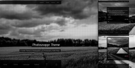 40 Photography Tumblr Themes (Mobile-Ready)