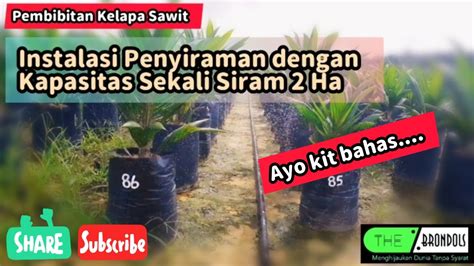 Pembibitan Kelapa Sawit Instalasi Penyiraman Bibit Kapasitas Sekali