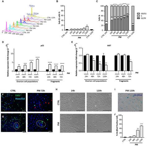 Distinct Effects Of Epirubicin Cisplatin And Cyclophosphamide On