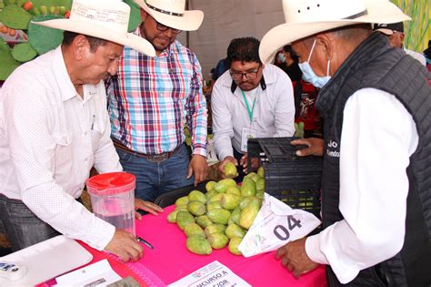 No Te Pierdas La Feria Internacional De La Tuna