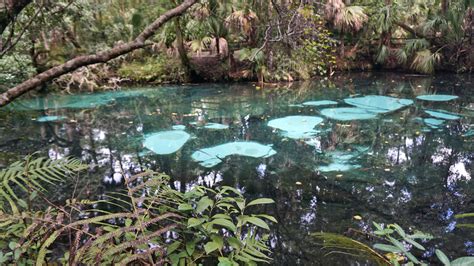 Juniper Springs, Ocala National Forest – Florida Hikes