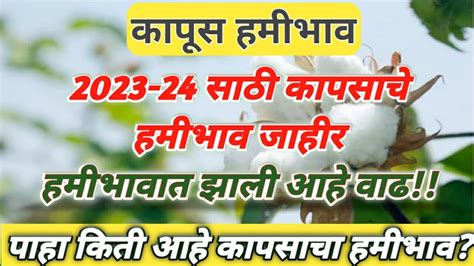 2023 24 कापूस हमीभाव जाहीरकापूस हमीभावcotton Mspkapus Hami Bhav 2023कापूस भाव 2023हमीभाव