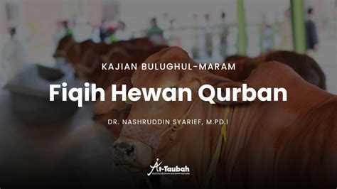 Fiqih Hewan Qurban Kajian Bulughul Maram Youtube