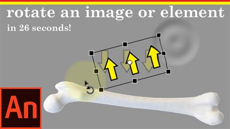 How To Rotate An Image Or Element In Adobe Animate Youtube