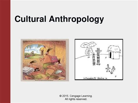 Culture Counts A Concise Introduction To Cultural Anthropology Ppt