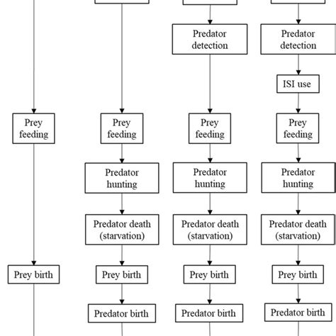 A Flow Diagram Depicting Sequential Prey And Predator Behaviour During