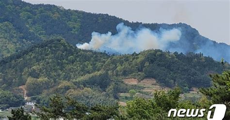 전남 곡성 산불1시간15분만에 주불 진화