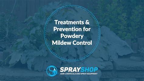 Ppt Treatments And Prevention For Powdery Mildew Control Powerpoint Presentation Id 11857785