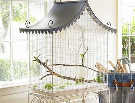 Bird In Everything: Bird Cage Design Ideas