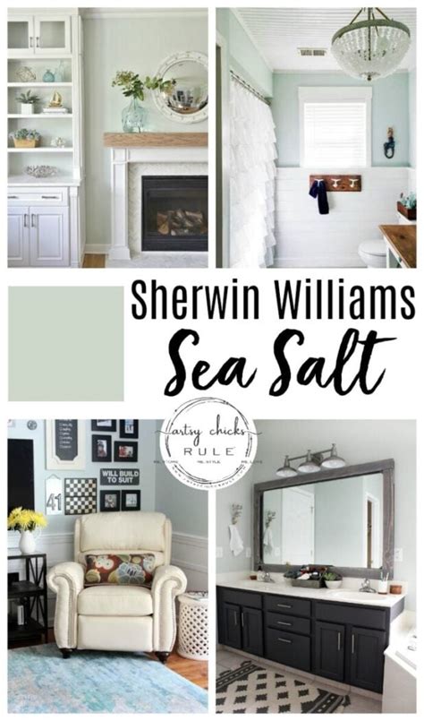 Sea Salt Sherwin Williams Living Room Baci Living Room